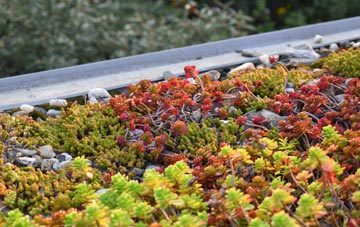 the cost of Braythorn green roof installation