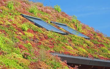 Braythorn living roof systems