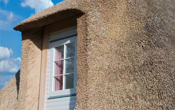 Braythorn thatch roof disadvantages